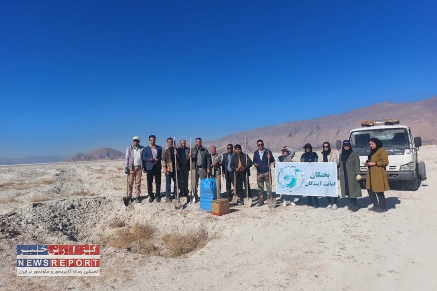 قلمه درختچه گز در حاشیه تالاب طشک کاشت وآبیاری شد