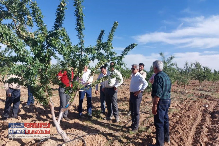 روند احداث تنها باغ مادری درختان سردسیری و خشک فارس در نی‌ریز بررسی شد
