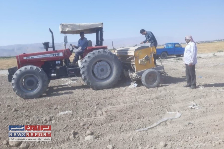 شروع زمان کشت دانه روغنی کلزا در فسا