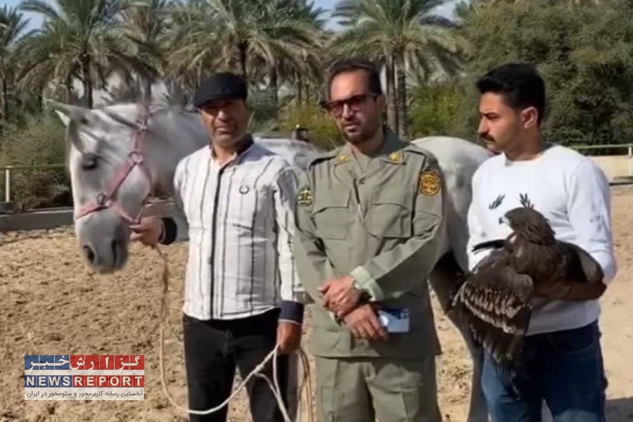 یک بهله عقاب پس از تیمار و بازپروری در شهرستان قیروکارزین رها سازی شد
