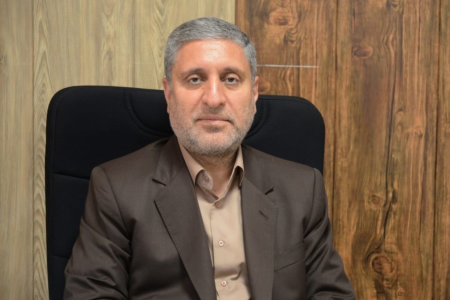 تمرکز بر اکتشاف و فرآوری مواد معدنی با همکاری کشورهای همسایه