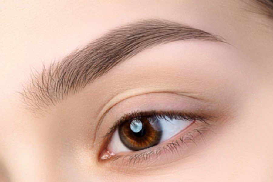 کلینیک زیبایی پانیکا کاشت: مرکز تخصصی کاشت ابرو به روش میکروبلیدینگ با قیمت مناسب در تهران