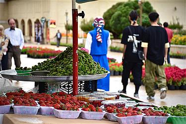 تصویر اردیبهشت شیراز