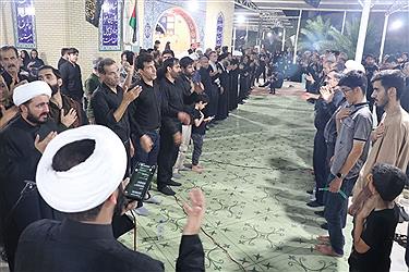 تصویر حضور مردم لامرد در پیاده‌روی جاماندگان اربعین به روایت تصویر