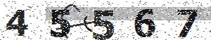 تصویر امنیتی