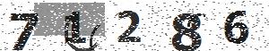 تصویر امنیتی