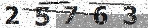 تصویر امنیتی